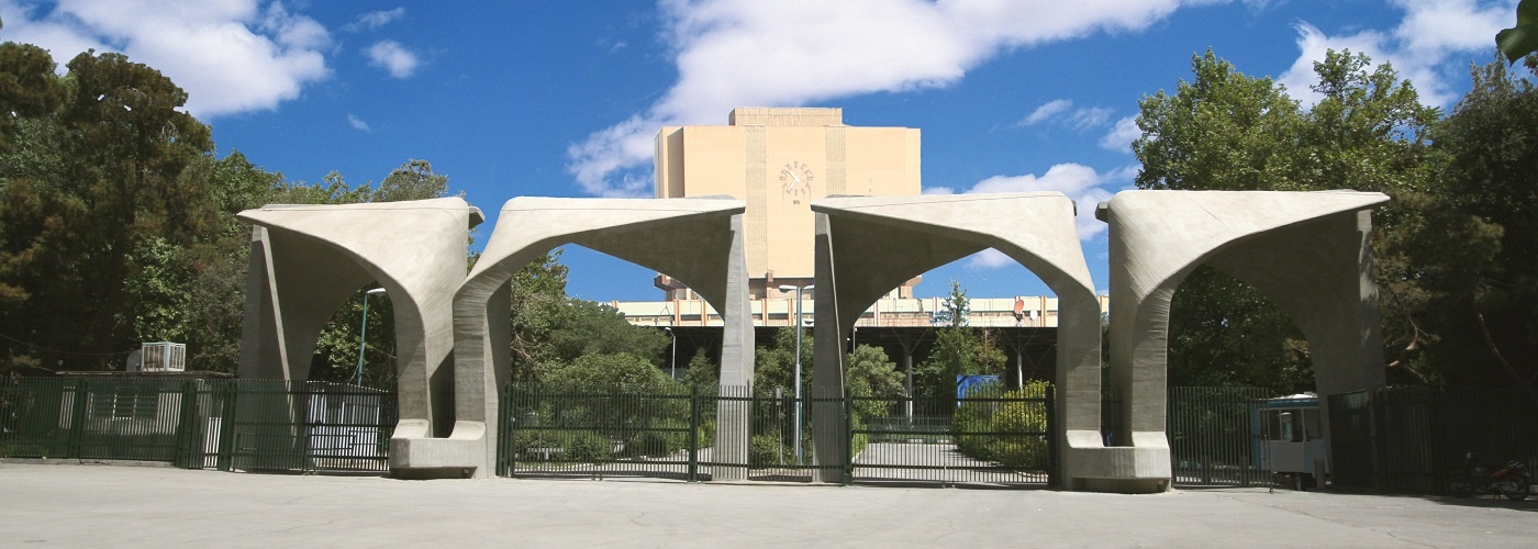 دانشگاه، دارالترجمه